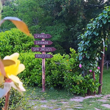Agriturismo Podere Poggiarone Раполано-Терме Екстер'єр фото